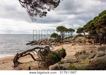 Shelley Cove Near Bunker Bay, Eagle Bay And Dunsborough City In Western Australia With Nice Sandy Be