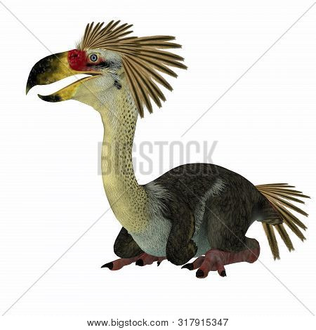 Phorusrhacos Bird Sitting 3d Illustration - Phorusrhacos Was A Flightless Carnivorous Terror Bird Of