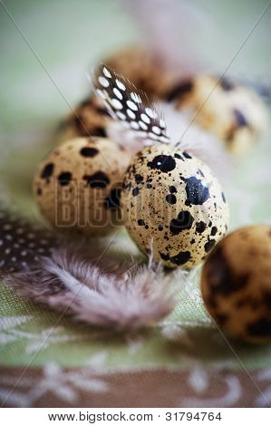 Quails ägg och fjädrar på en dekorativ servett