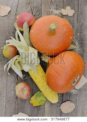 Pumpkins Corn And Red Apples On A Rustic Table With Autumnal Leaf
