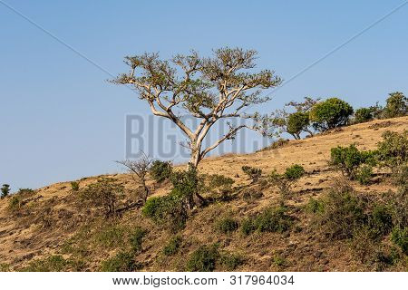 Landscape View Near The Blue Nile Falls, Tis-isat In Ethiopia, Africa