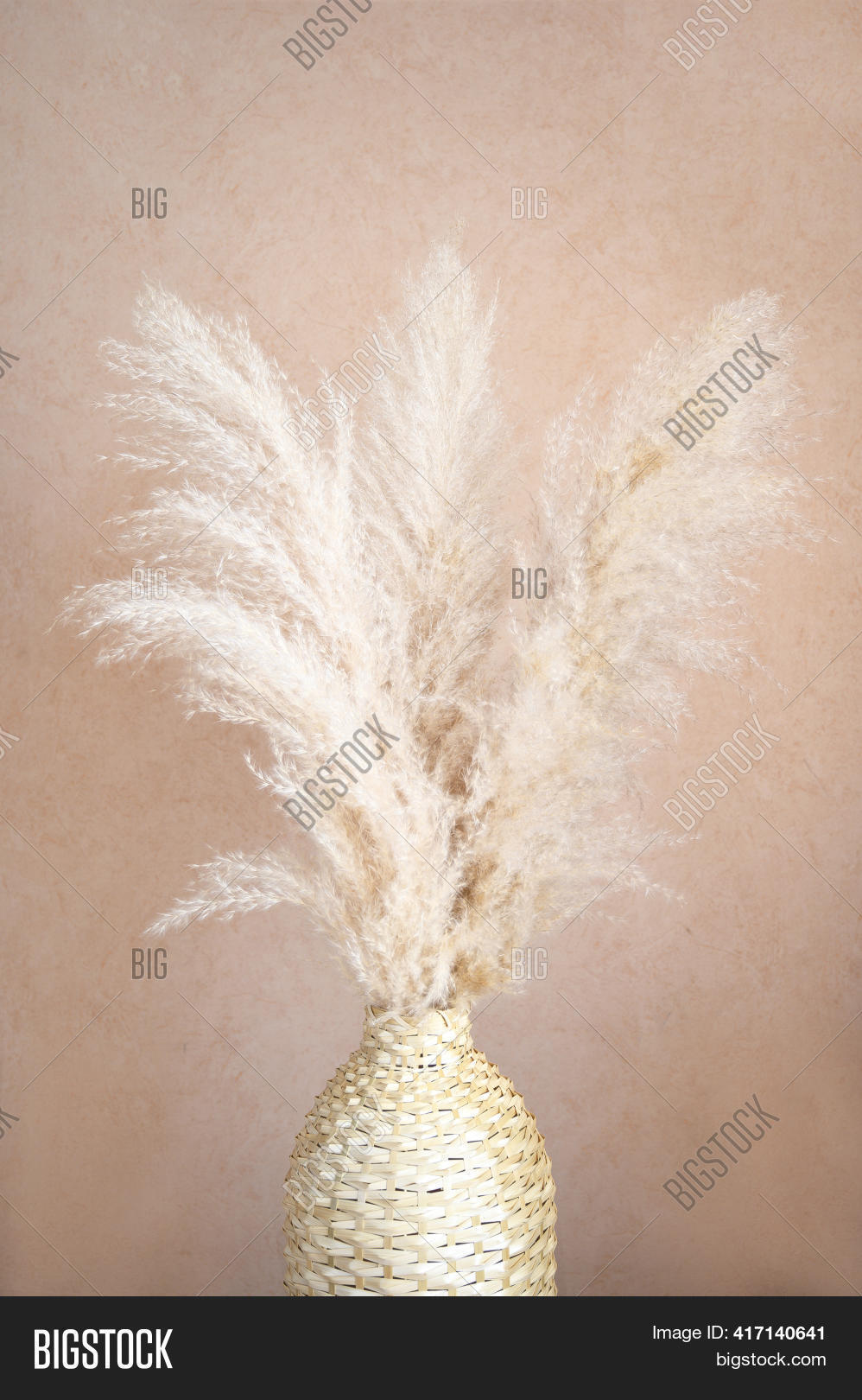 Pampas Grass Wicker Image & Photo (Free Trial) Bigstock