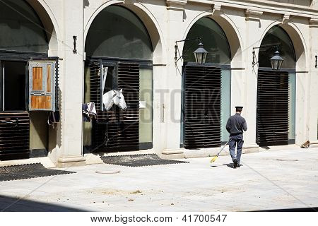 Stable