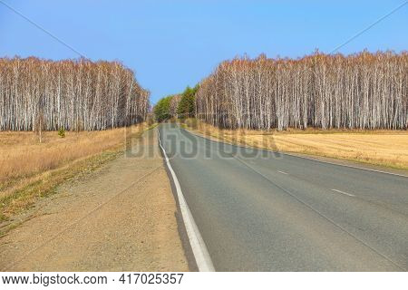 Empty Country Road Surrounded By Fields With Dry Grass. Birch Forest In The Distance.