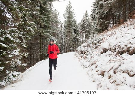 Winter-Trail-Läufer: Mann nimmt einen Run auf einem schneebedeckten Berg-Pfad in einem Pinienwald.