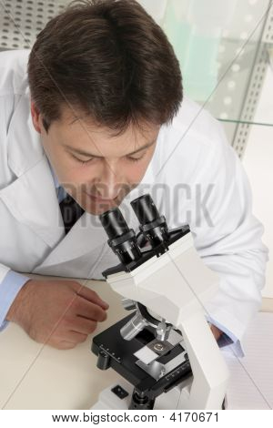 Mirando a través del microscopio