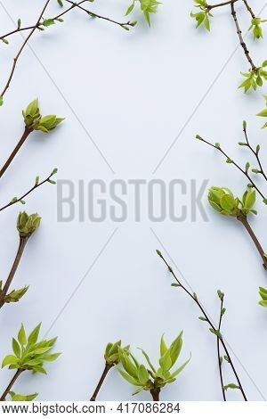 Spring Frame From Twigs With First Leaves And Buds. On A White Background.