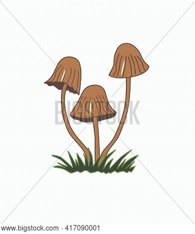 Vector Illustration Of Mushrooms On Thin Legs Isolated On A White Background.