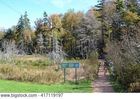 CAVENDISH, PRINCE EDWARD ISLAND - October 11, 2011: Sign at Green Gables Haunted Woods Trail, PEI, Canada. The 19th-century farm is one of the most notable literary landmarks in Canada.