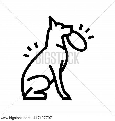 Playing With Stick, Ball, Disc Dog Line Icon Vector. Playing With Stick, Ball, Disc Dog Sign. Isolat