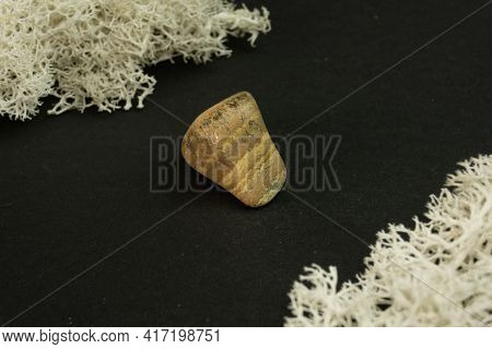 Picture Brown Jasper From Republic Of South Africa Rsa. Natural Mineral Stone On A Black Surrounded