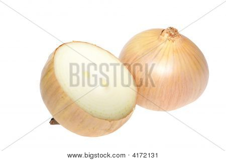 Cibule