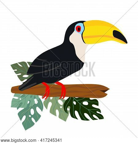 Cute Cartoon Toucan Bird On Branch. Vector Stock Illustration For Invitations, Card, Poster. Summer 