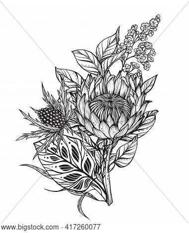 Beautiful Vector Composition Of Black And White Flowers, Feverweed, Protea, Isolated On White Backgr