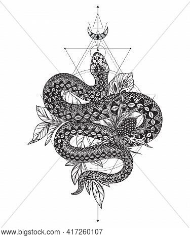 Vector Illustration Of Black And White Snake, Feverweed Flower, Moon, Sacral Geometric Simbols Isola