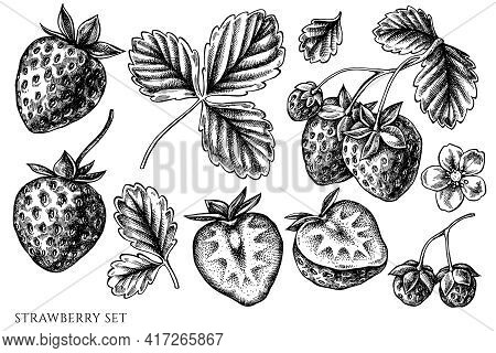 Vector Set Of Hand Drawn Black And White Strawberry Stock Illustration