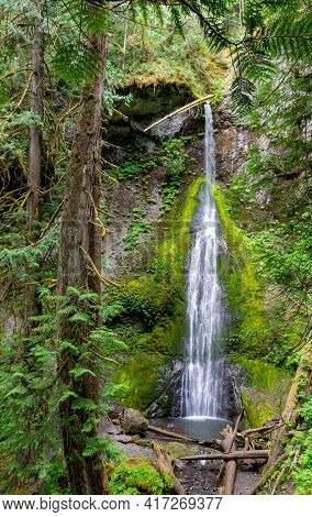 Marymere Falls In Olympic National Park Near Lake Crescent