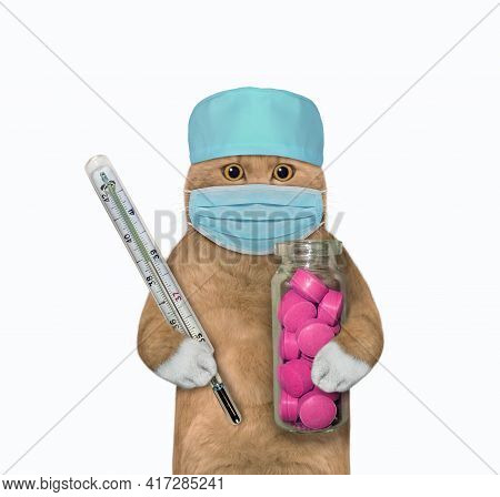 A Reddish Cat Doctor In A Medical Hat Holds A Bottle Of Pink Pills And A Thermometer. White Backgrou