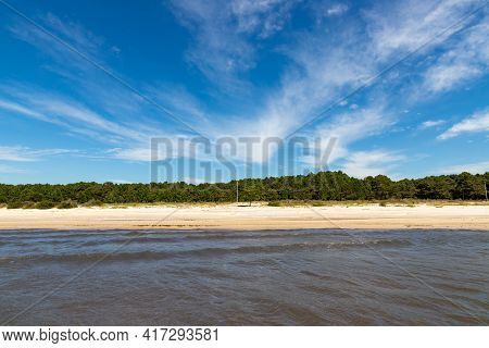 Sand, Trees And Lake With Blue Sky