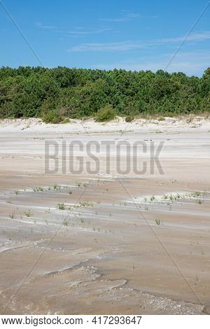 Sand And Vegetation With Blue Sky
