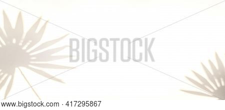 Abstract Shadow Summer Background. Plant Leaf Shadows On White Wall In Abstract Tropical Sunlight Te