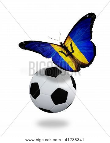 Koncept - sommerfugl med Barbados Flag flyver i nærheden af bolden, som fodboldklub