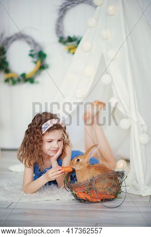 Little Cute Girl Feeds Carrots Fluffy Pet Rabbit, Care And Livin
