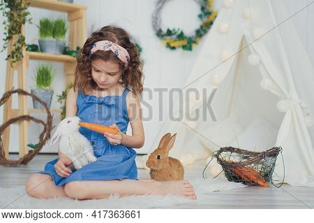 Little Cute Girl Feeds Carrots Fluffy Pet Rabbit, Care And Livin