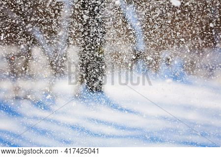 Snowfall Winter Snow. Snow Texture. Texture For Design. Snowy White Texture. Snowflakes.