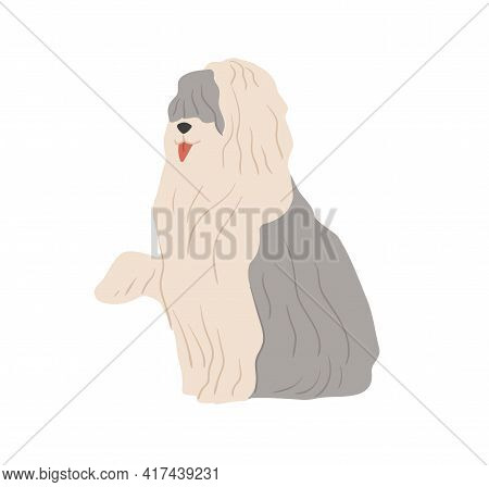 Old English Sheepdog, Or Bobtail. Shepherds Sheep Dog With Long Shaggy Coat. Flat Vector Illustratio