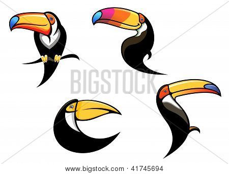 Funny toucan mascots and symbols