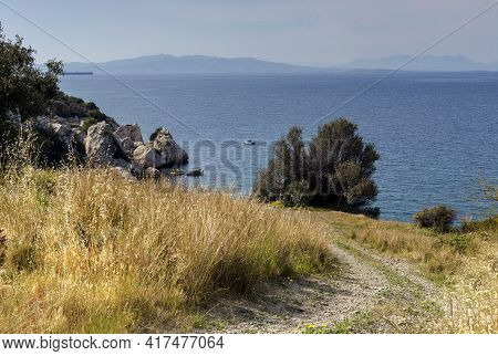 View Of The Olive Tree, Sea, Mountains And Footpath On A Sunny Spring Day (salamina Island, Greece)