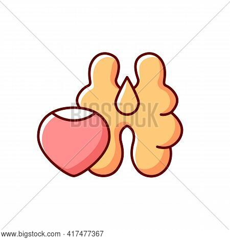Tree Nuts Rgb Color Icon. Walnut And Hazelnut As Common Allergen. Nutrient Food Ingredient. Fat And 
