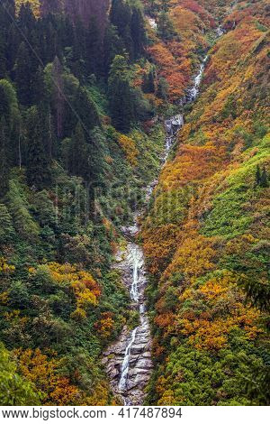 Ayder Plateau Natural Gelintulu Waterfall Surrounded By Autumn Colors Near Rize, Turkey.