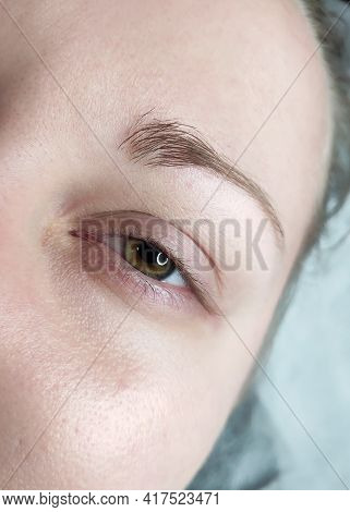 Lash Extensions In Beauty Salon Macro Eye