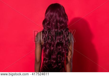 Rear Back View Photo Of Young African Woman Incognito Anonym Hairdo Isolated Over Red Color Backgrou