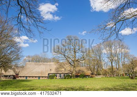 Trees Surrounding An Old Farm In Orvelte, Netherlands