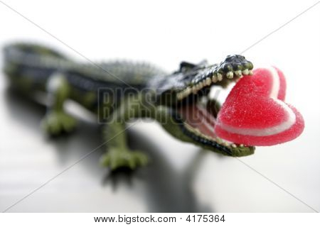 Toy Cocodrile, Aligator mit Süßigkeiten Valentine roten Herzen in seine Kiefer