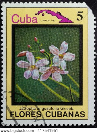 Republic Of Cuba - Circa 1983: Postage Stamp Of 'jatropha Angustifolia' Printed In Republic Of Cuba.