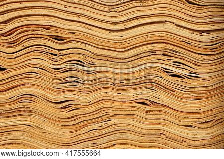 Stacked Semimanufacture Wooden Veneer For Plywood And Furniture Production. Side Butt View Close-up.