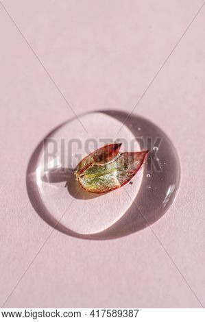 A Drop Of Cosmetic Gel With A Leaf On A Pink Background.