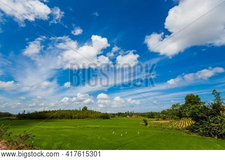 Tropical Phong Nha Vietnam Landscape