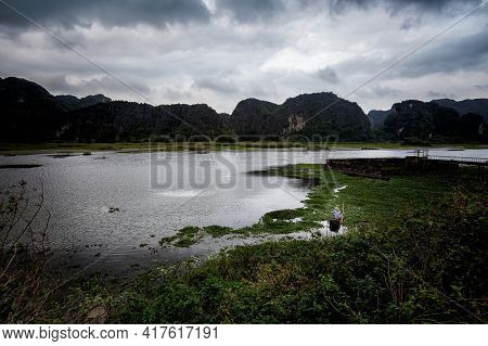 Van Long In Tam Coc Vietnam