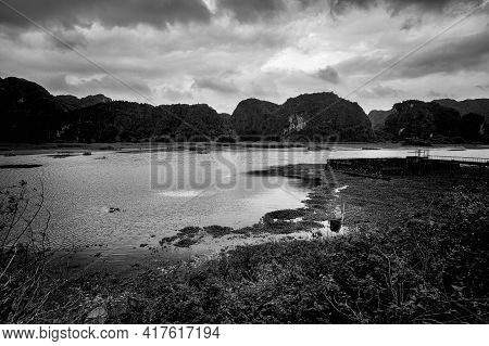 Van Long In Tam Coc Vietnam