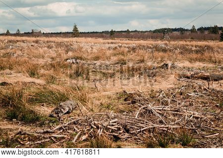 The High Fens, Hoge Venen, Belgium, Signal Van Botrange