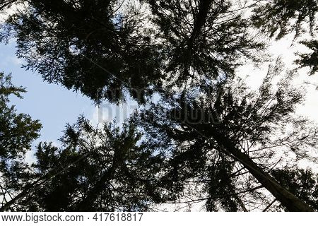The High Fens, Hoge Venen, Belgium, Signal Van Botrange