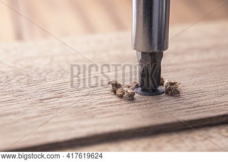 Screwdriver Screw In A Wood Oaks Plank. Self-tapping Screw For Ph2 Bit. Screws Macro Photo. Construc