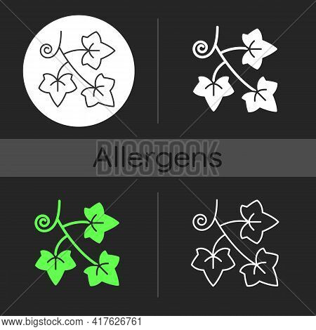 English Ivy Dark Theme Icon. Hedera Helix, Vine. Crawling Flowering Plant. Cause Of Allergic Reactio