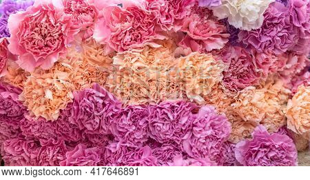 Three Rows Of Red, Pink And Beige Cloves Are Laying One On One , Are Snung On Top Of Each Other.
