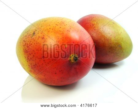 Mango, frukt